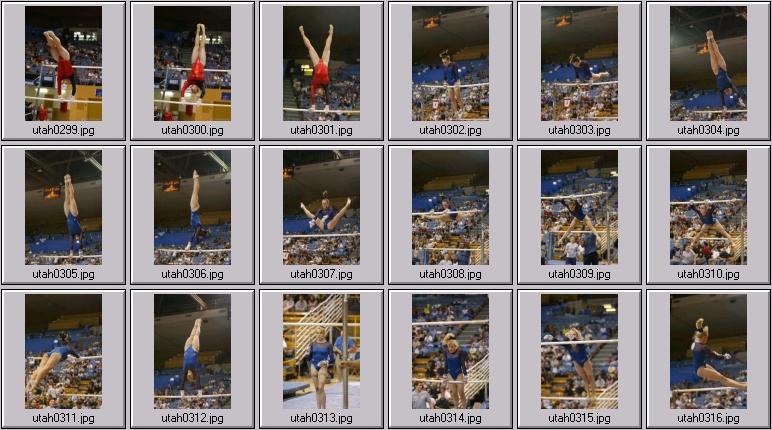 womens college gymnastics