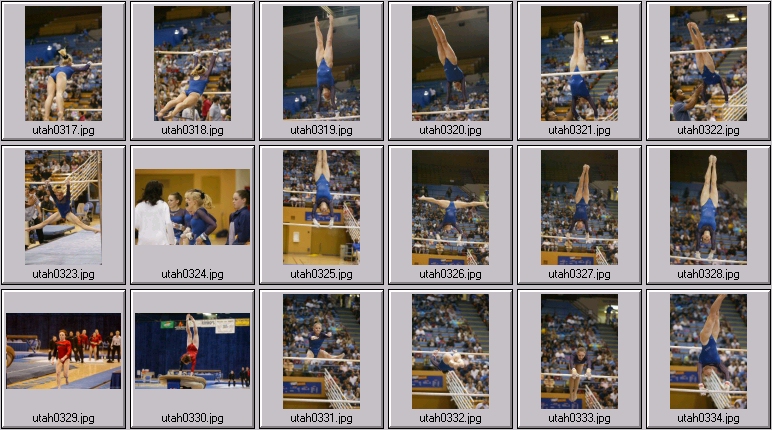 womens college gymnastics