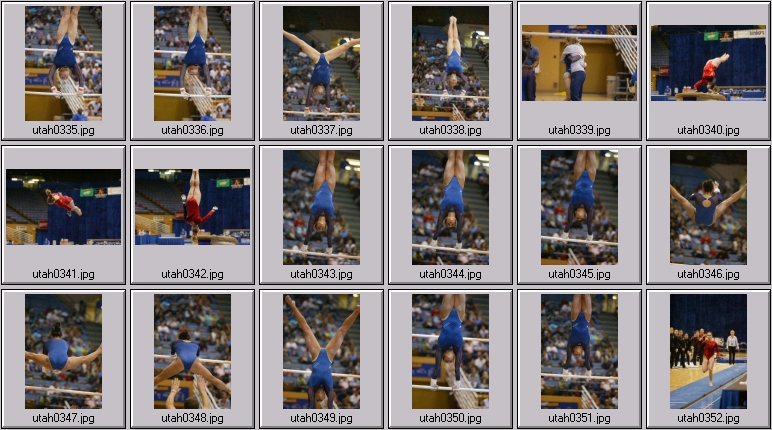 womens college gymnastics