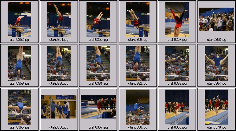 womens college gymnastics