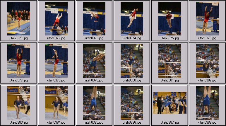 womens college gymnastics