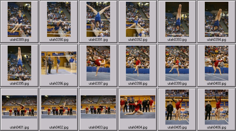 womens college gymnastics