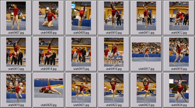 womens college gymnastics