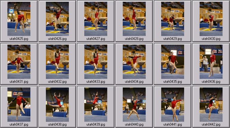 womens college gymnastics