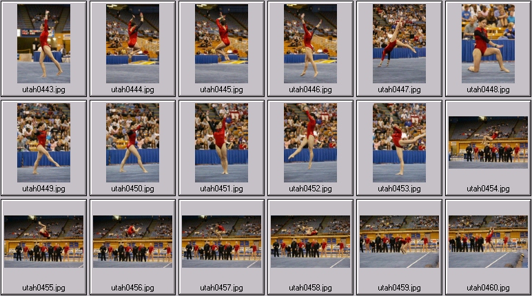 womens college gymnastics