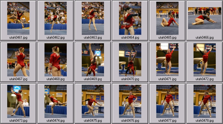 womens college gymnastics