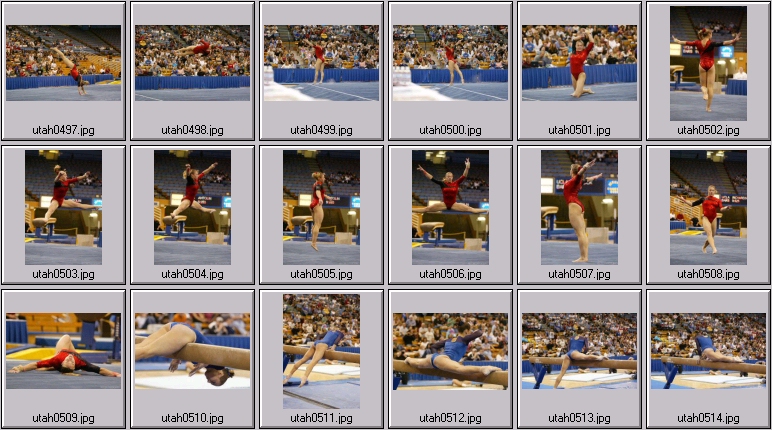 womens college gymnastics