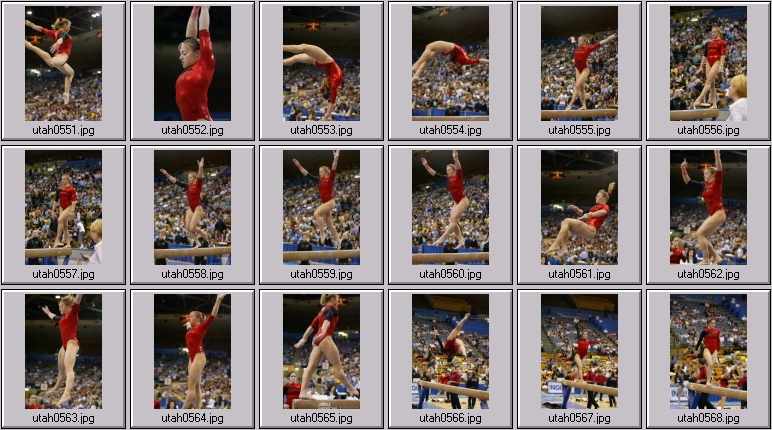 womens college gymnastics