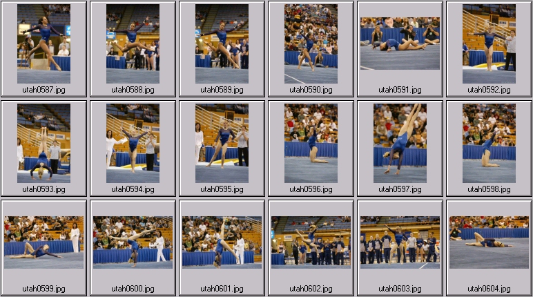 womens college gymnastics