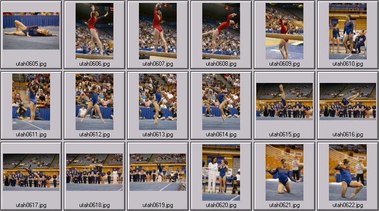 womens college gymnastics