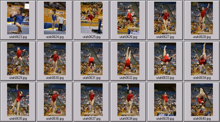 womens college gymnastics