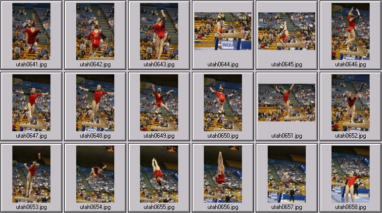 womens college gymnastics