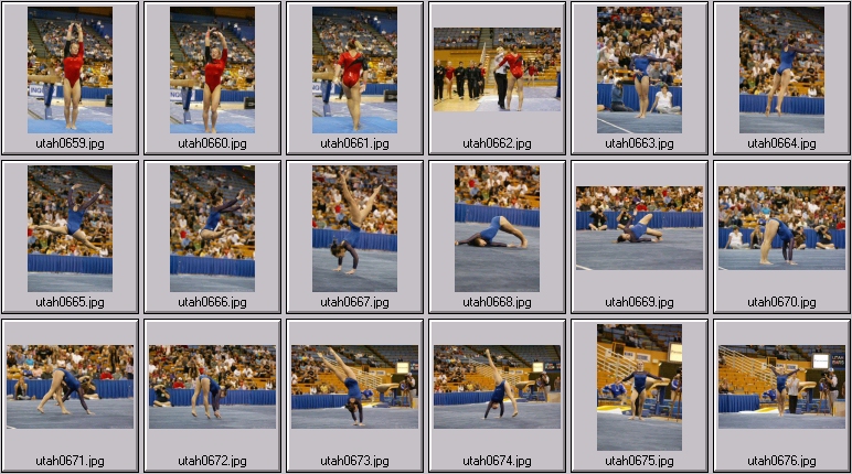 womens college gymnastics