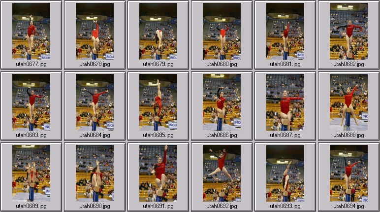 womens college gymnastics