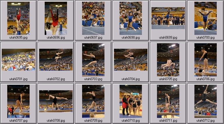 womens college gymnastics