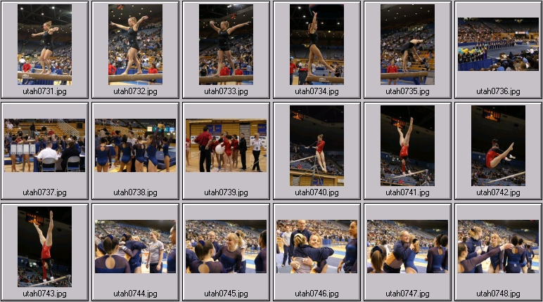 womens college gymnastics