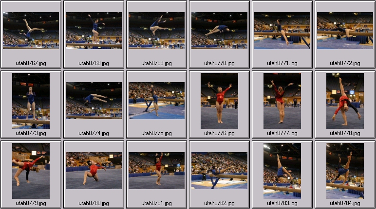 womens college gymnastics