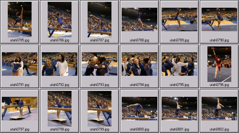 womens college gymnastics