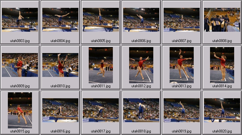 womens college gymnastics