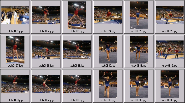 womens college gymnastics