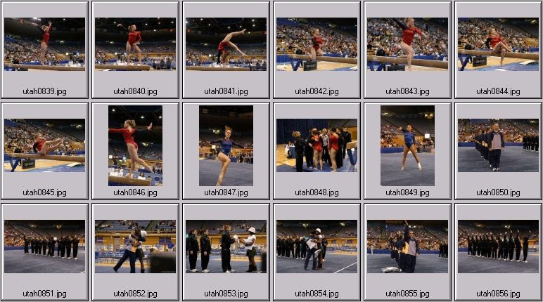 womens college gymnastics