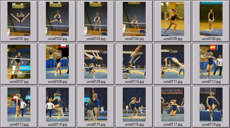 womens college gymnastics