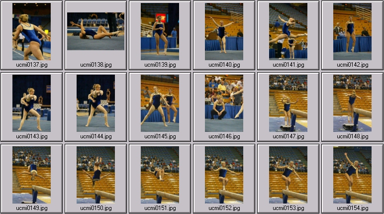 womens college gymnastics