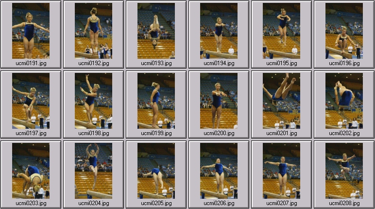 womens college gymnastics