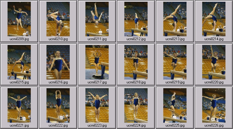 womens college gymnastics