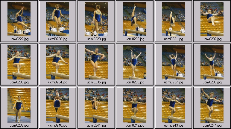 womens college gymnastics