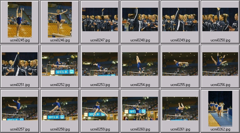 womens college gymnastics