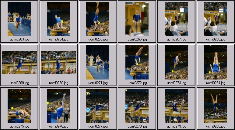 womens college gymnastics