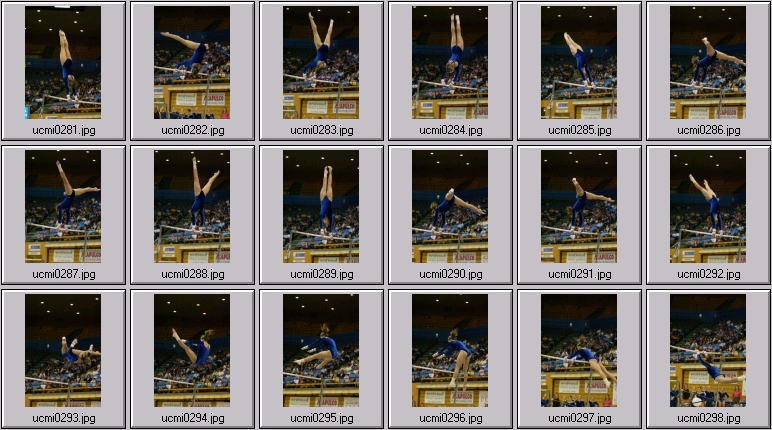 womens college gymnastics