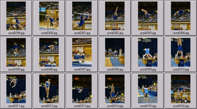 womens college gymnastics