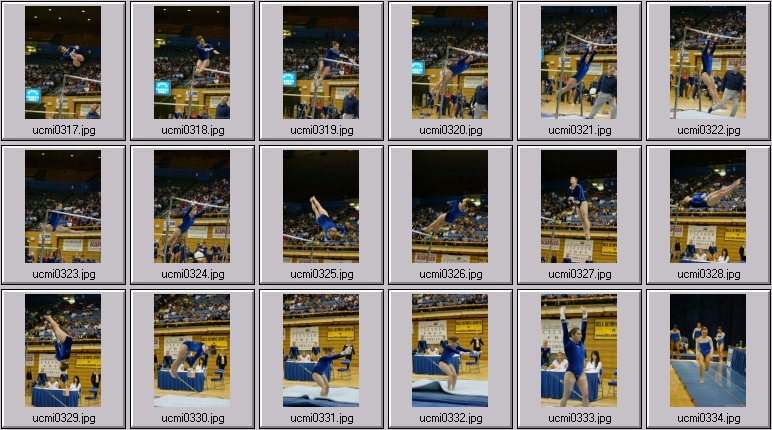 womens college gymnastics