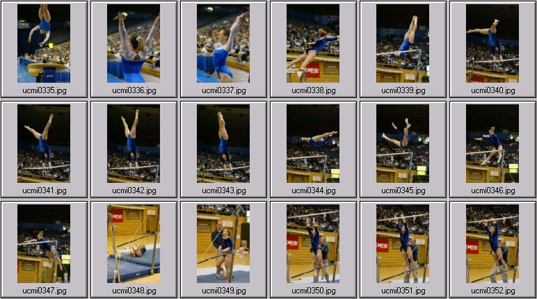 womens college gymnastics
