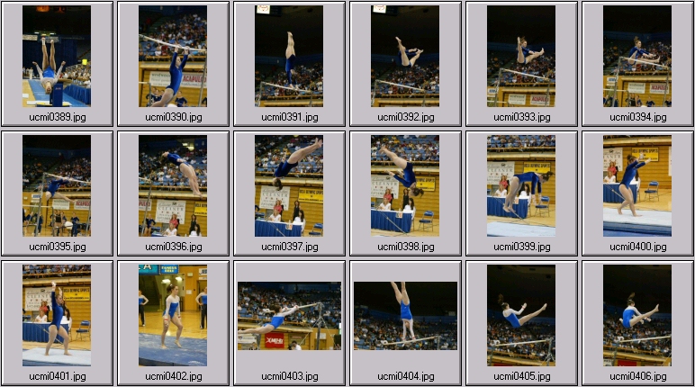 ucla gymnastics