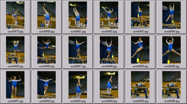 michigan gymnastics