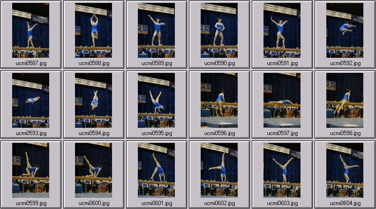 ucla gymnastics