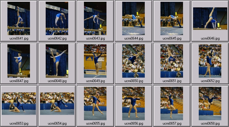 ucla gymnastics