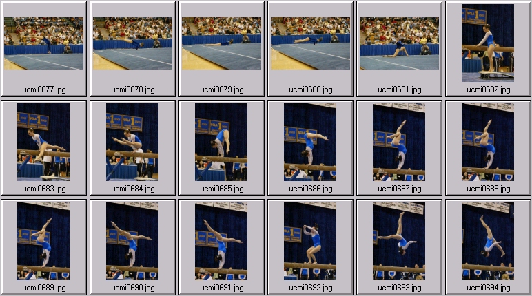 ucla gymnastics