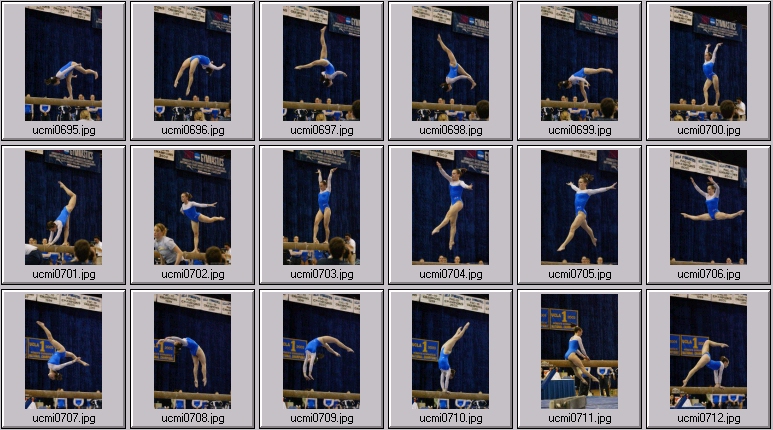 ucla gymnastics