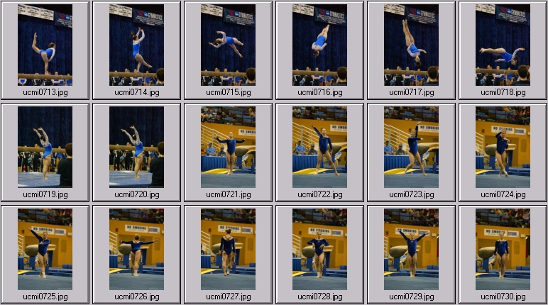 ucla gymnastics