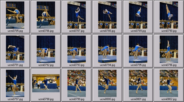 ucla gymnastics