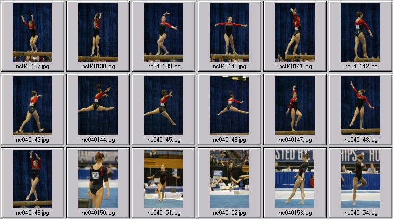 florida gymnastics