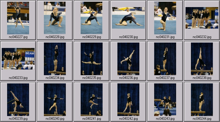 Florida gymnastics