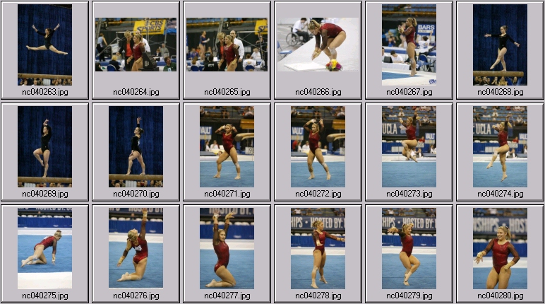 Georgia gymnastics