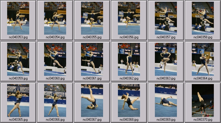 Florida womens gymnastics