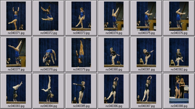 Staford womens gymnastics