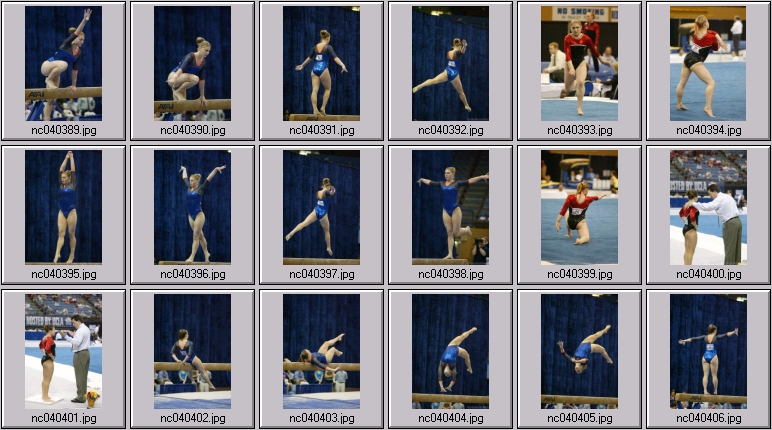Gator womens gymnastics